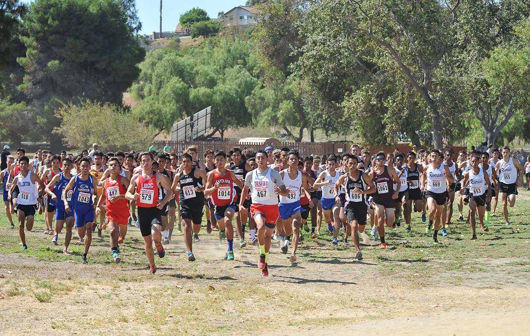 Men's Cross Country Finishes Fourth; Women Compete at Palomar Invitational