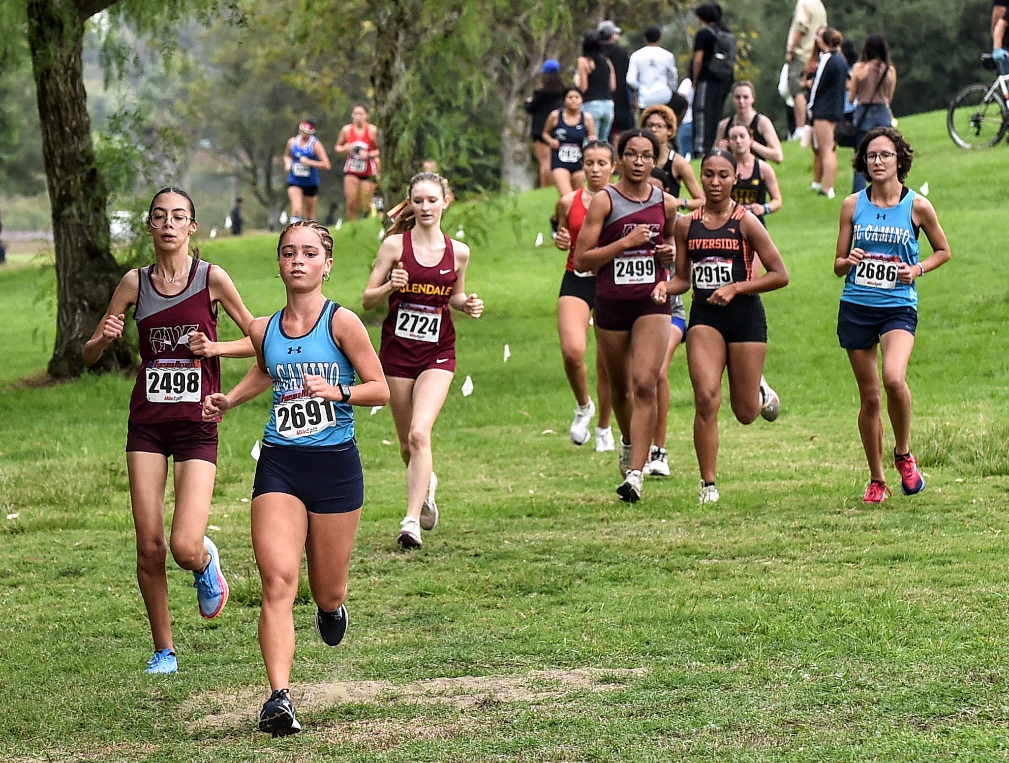 Cross Country Men and Women Ranked in First Coaches’ Poll